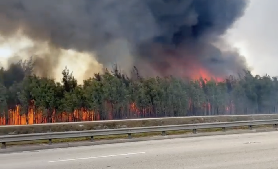 Miami-Dade Fire Rescue units responded Sunday afternoon to a grass fire at Southwest 137th Avenue and 8th Avenue. Miami-Dade Fire Rescue