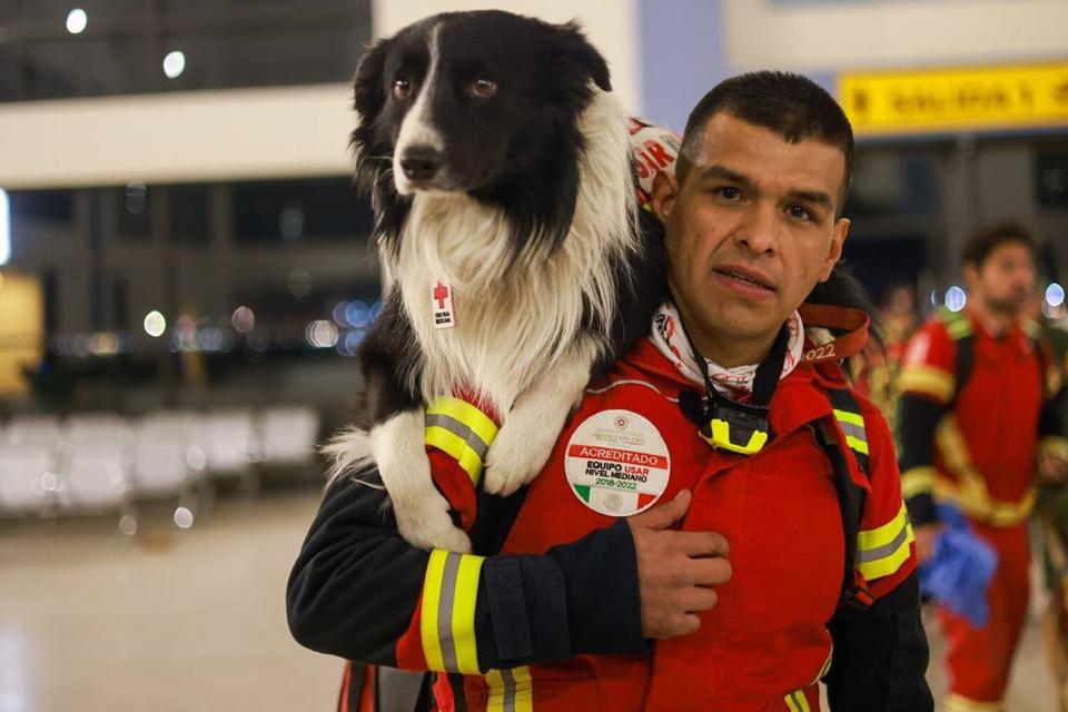 México envía talentosos perros de búsqueda y rescate a Turquía para ayudar tras terremoto