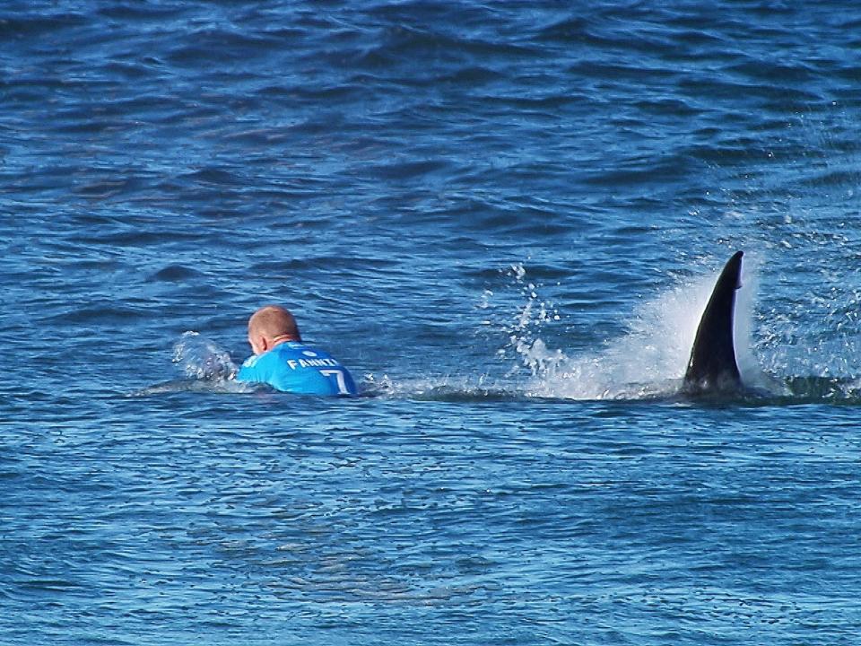 Mick Fanning, an Australian surfer, swimming near a shark whose fin surfaced in the waters near South Africa.