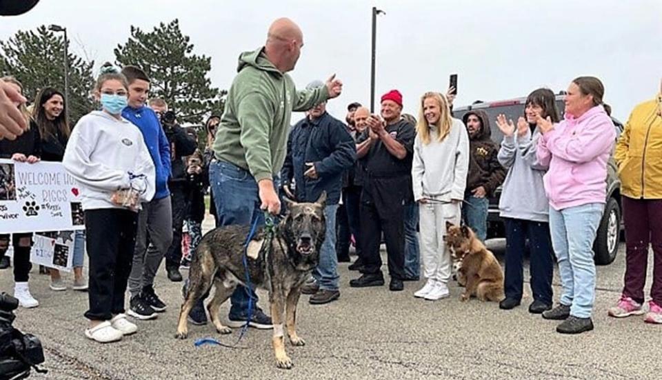 Police dog shot by Chicago murder suspect released from hospital, expected to make ‘full recovery'