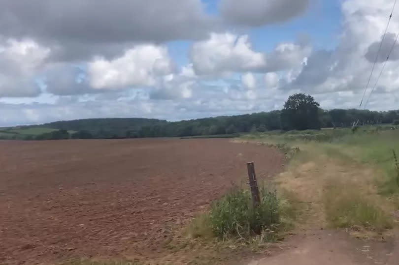 The Washford solar farm site