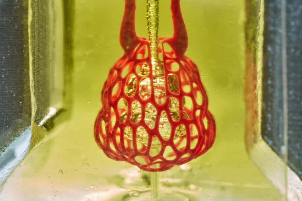 Bioengineers are one step closer to 3D printing organs and tissues
