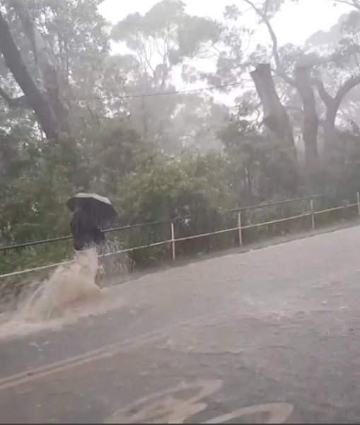 Woman braves wet walk to work