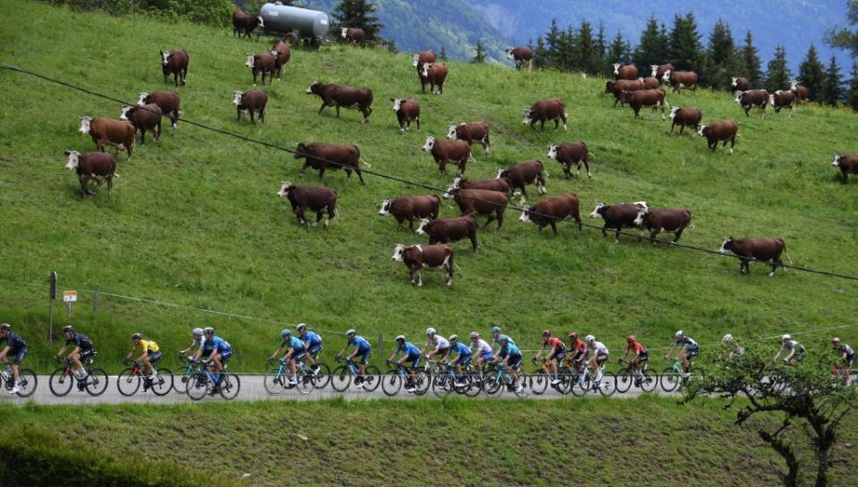 topshot cycling fra dauphine stage8