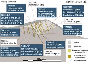 Cross Section of the Reported Gold intercepts, Trapper Gold Target, Southwest View.