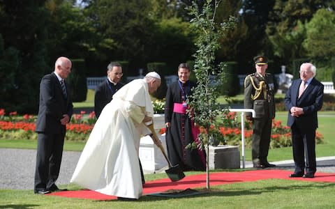 Pope Francis plants a tree during a meeting with Irish President Michael D Higgins, at Aras an Uachtarain in Phoenix Park - Credit: PA