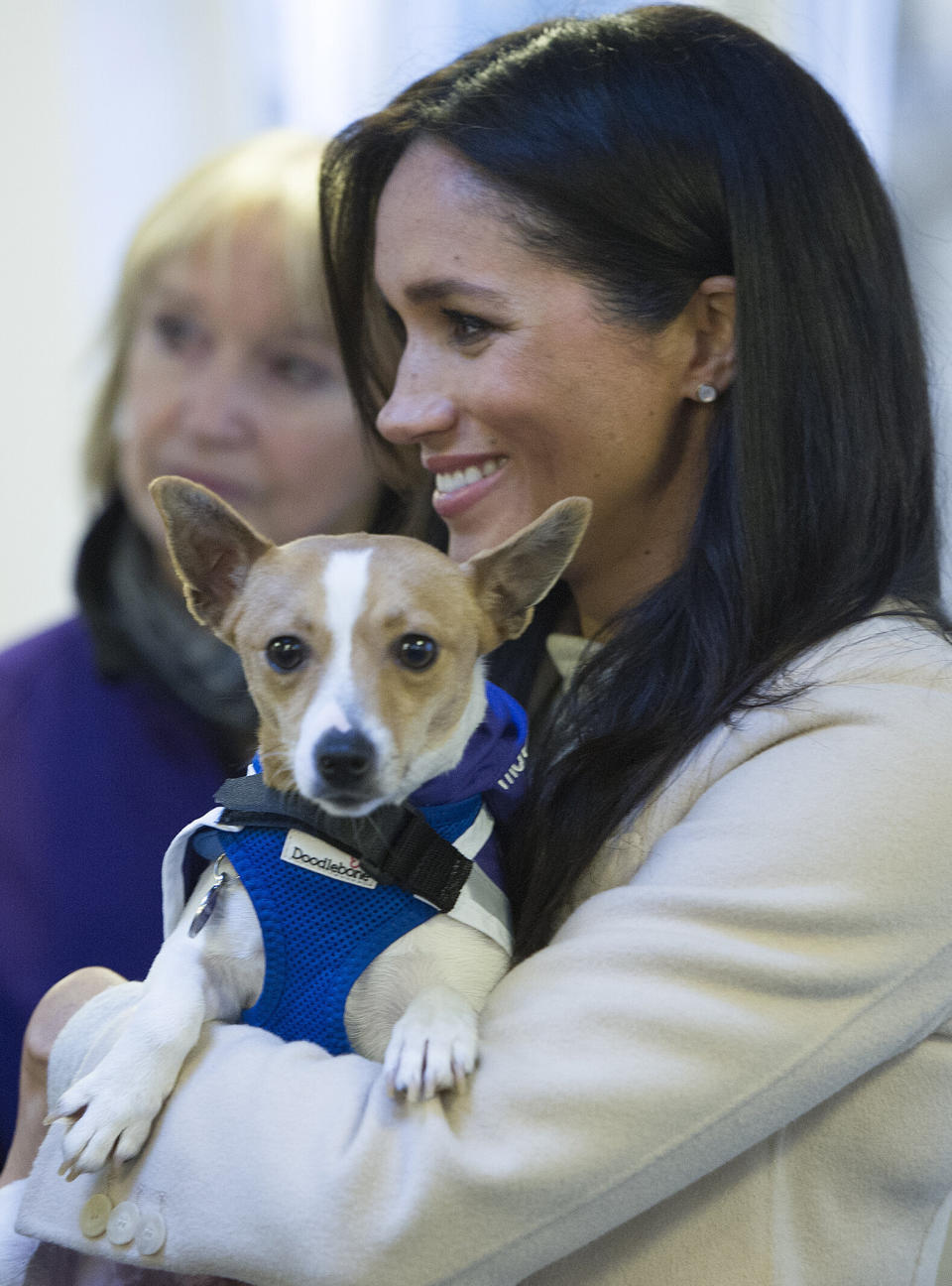 Meghan, Duchess of Sussex meets a Jack Russell dog named "Minnie" during her visit to the animal welfare charity Mayhew in London on January 16, 2019. - Established in 1886, Mayhew looks for innovative ways to reduce the number of animals in need through pro-active community and educational initiatives and preventative veterinary care. (Photo by Eddie MULHOLLAND / POOL / AFP)        (Photo credit should read EDDIE MULHOLLAND/AFP/Getty Images) (Photo: EDDIE MULHOLLAND via Getty Images)