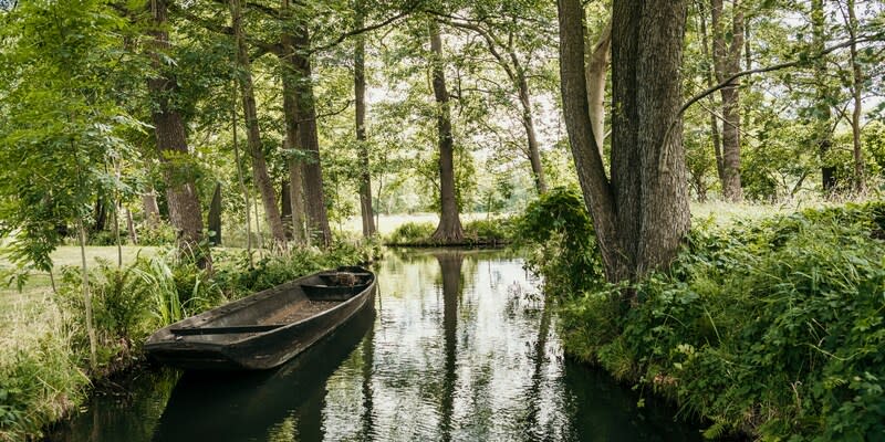 Bootskanal im Spreewald in Brandenburg<span class="copyright">Getty Images/Westend61</span>