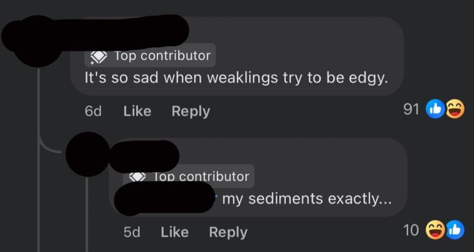 Two social media comments: "It's so sad when weaklings try to be edgy." and "my sediments exactly..." with likes and laughing reactions