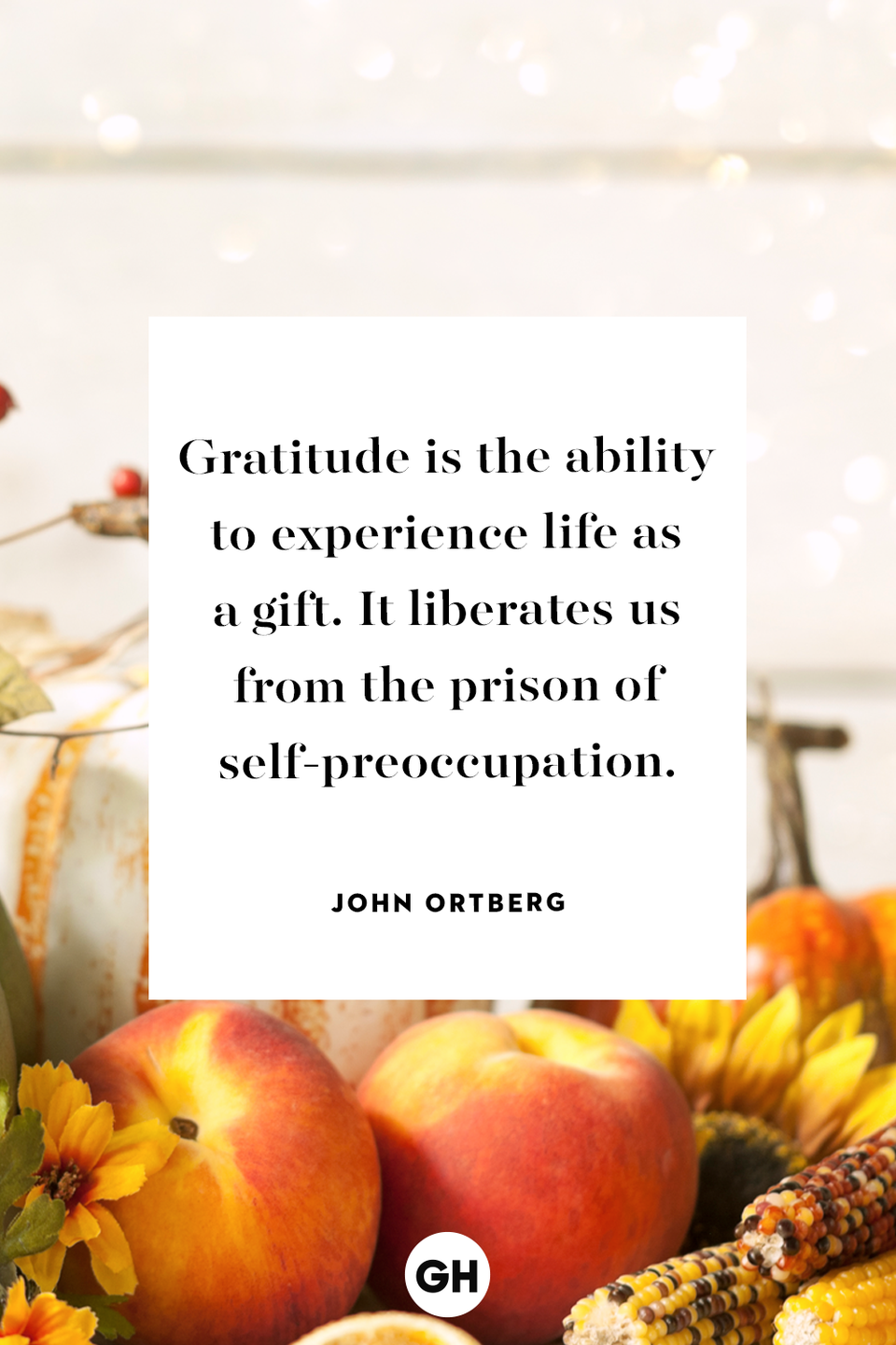 <p>Gratitude is the ability to experience life as a gift. It liberates us from the prison of self-preoccupation.</p>