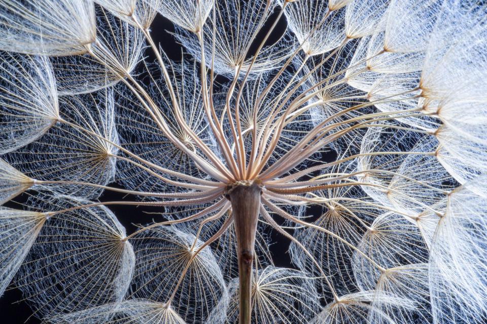 These Serene Nature Photos Will Calm Your Nerves