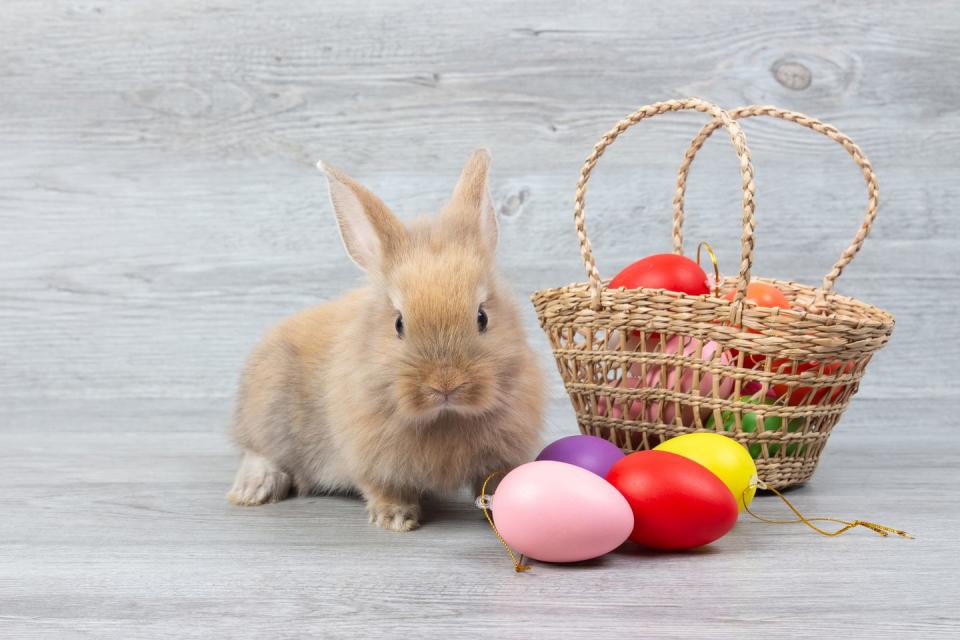 bunny with basket of easter eggs