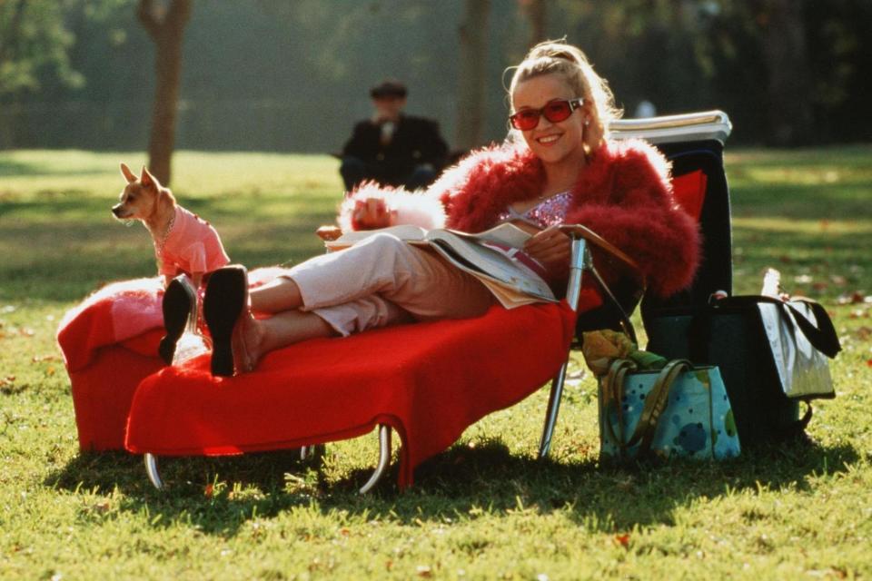 Reese Witherspoon and Moonie in 'Legally Blonde', 2001: Rex Features