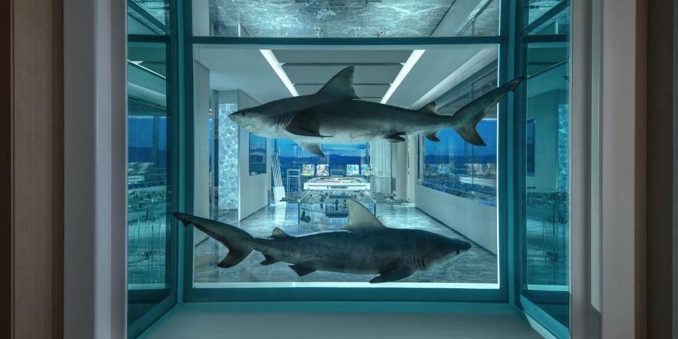 <p>La habitación muestra algunas de las piezas originales conocidas de Hirst, como el icónico “Ganador / Perdedor”, con dos tiburones toro suspendidos en formaldehído. Foto: Cover Media </p>