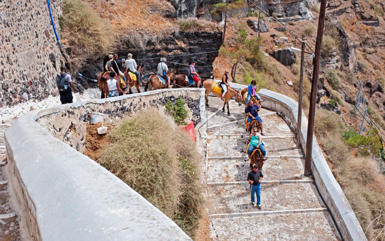 Donkeys have to cope with the steep path up to Fira - majaiva