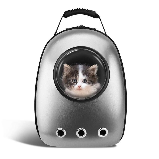 7 Best Cat Backpacks That Taylor Swift Would Approve Of · The Wildest