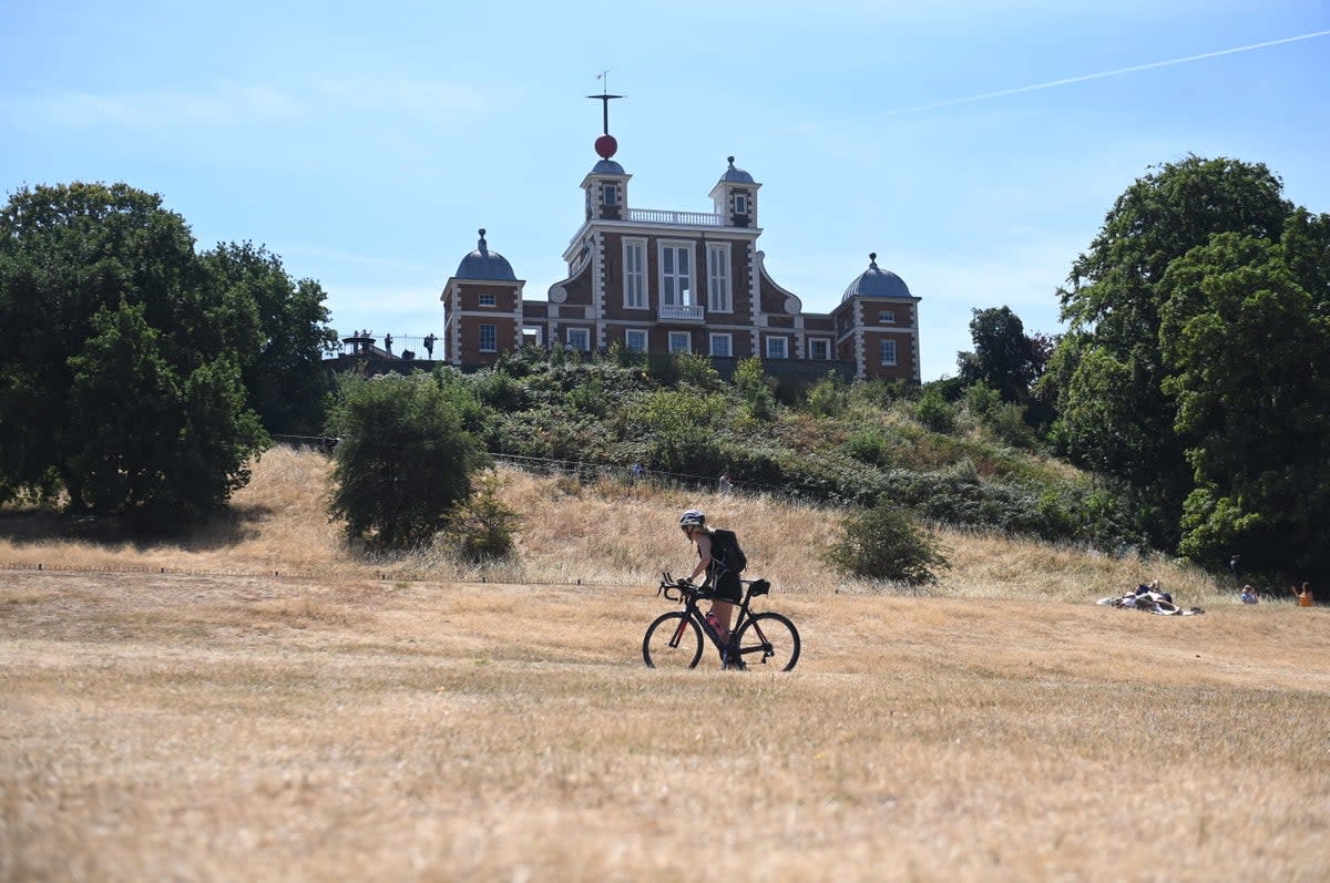 A view of parched Greenwich Park on 6 August  (EPA/Neil Hall)