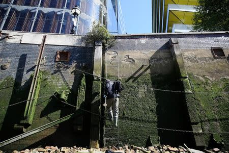 Mudlark Matthew Goode climbs down a ladder as he looks for objects on the banks of the River Thames in London, Britain May 23, 2016. REUTERS/Neil Hall