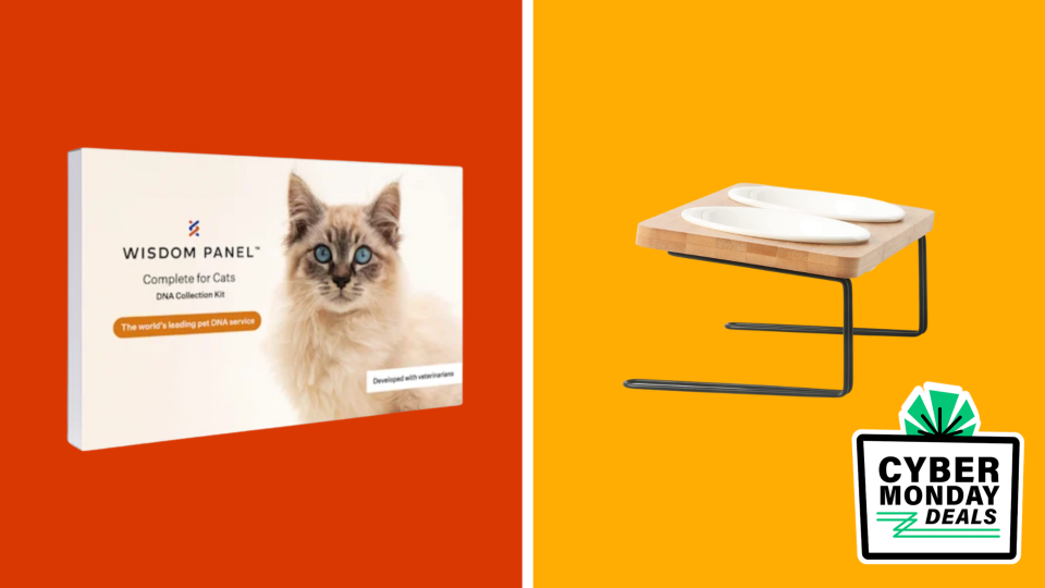 Shop gifts for your feline friends at some of the lowest prices of the year with Cyber Monday markdowns.
