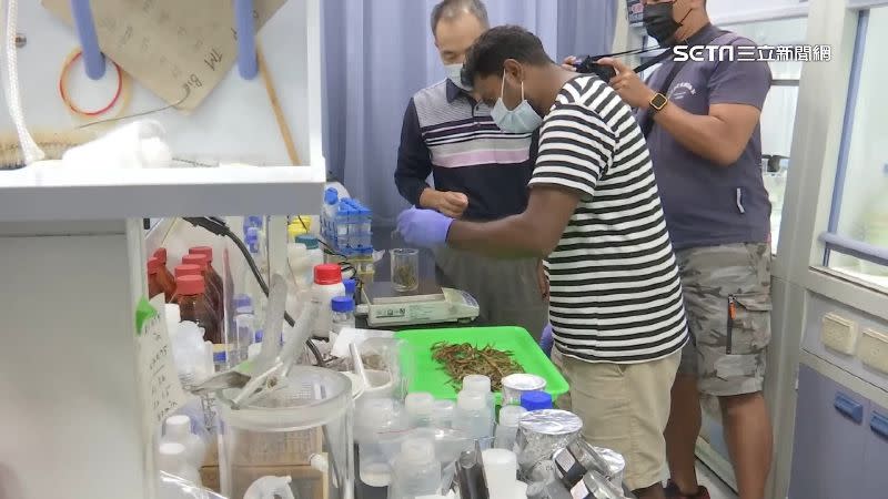 中山大學海洋科學系研究團隊發現小魚乾中含有微塑膠。