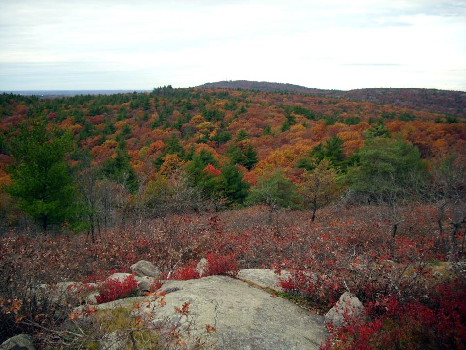 The Hike: Blue Hills Reservation