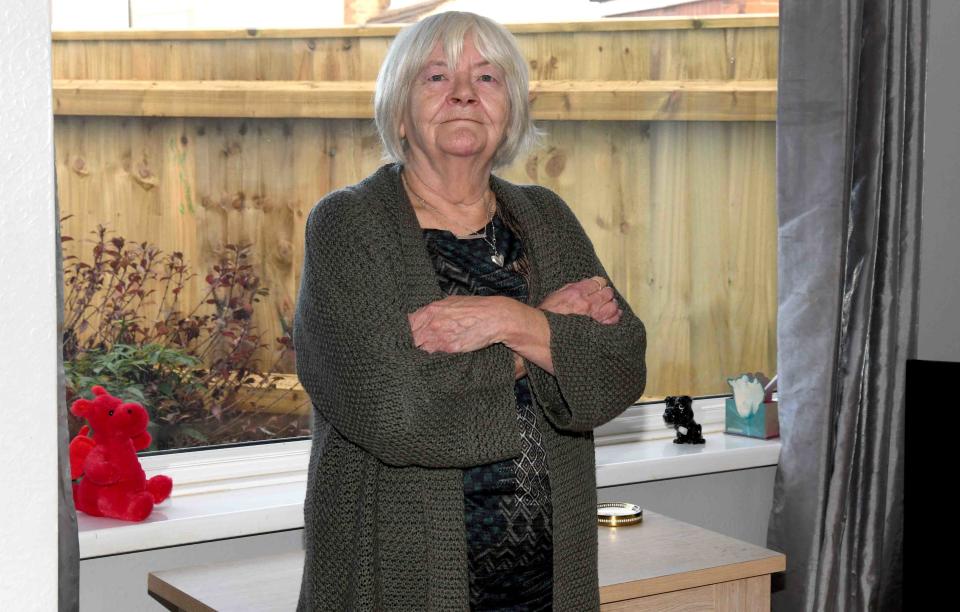 Parkinson says the fence has reduced daylight coming through her living room window. (Reach)