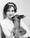 <p>Audrey Hepburn and her pet fawn, who she filmed <em>Green Mansions </em>with in 1958, are one of the most iconic celebrity pet pairings. Hepburn grew so attached to the fawn during filming (Pippin even <a href="https://www.theguardian.com/lifeandstyle/2018/aug/19/audrey-hepburn-actor-shopping-fawn-green-mansions-film" rel="nofollow noopener" target="_blank" data-ylk="slk:slept in her bed with her;elm:context_link;itc:0;sec:content-canvas" class="link ">slept in her bed with her</a>) that when she suffered a miscarriage after she finished shooting the film, her husband Mel Ferrer tracked him down and gifted it to her as a pet. </p>