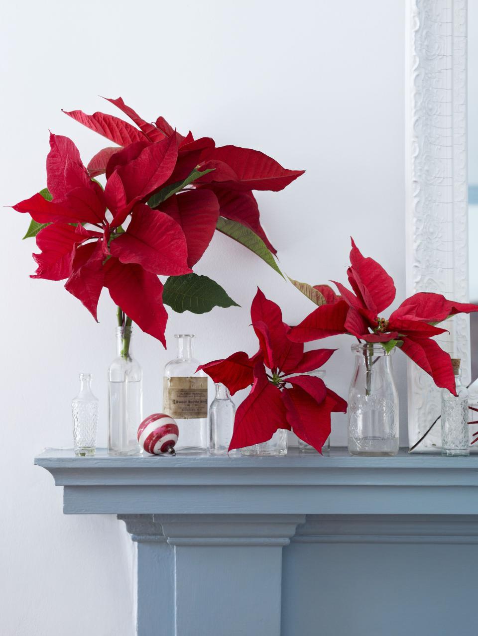 Make the Season Merry with These Gorgeous Christmas Floral Arrangements