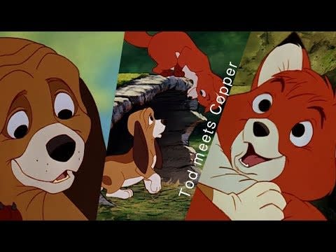 The Fox and the Hound