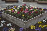 <p>Balance a rustic wood box with vibrant flowers that showcase the colors of summer. It's so beautiful, this bright display is a great choice for the front yard. </p>