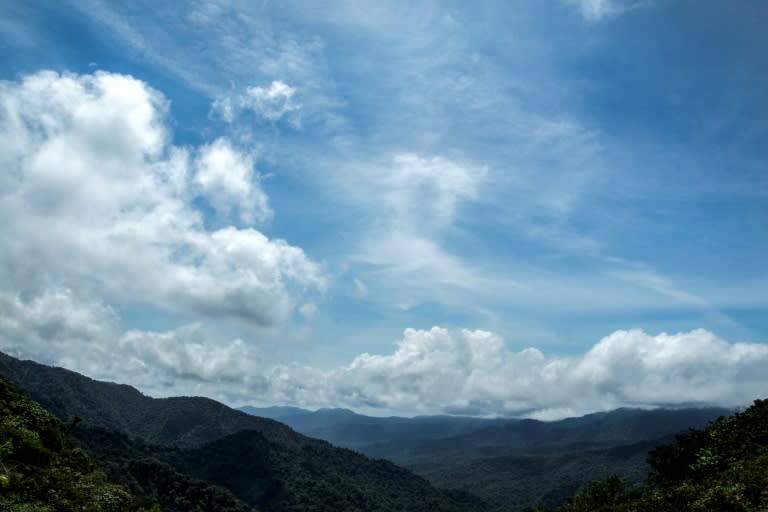 <em class="img-caption">Panorama de la "forêt des nuages" de Monteverde, au Costa Rica, le 23 mai 2023 (AFP [...]</em>