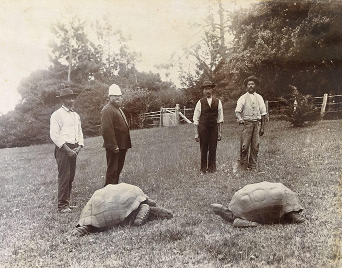 A photo dated to c. 1882–86 taken in the grounds of Plantation on St Helena – shortly after Jonathan arrived on the island (Jonathan is shown on the left) / Credit: Guinness World Records