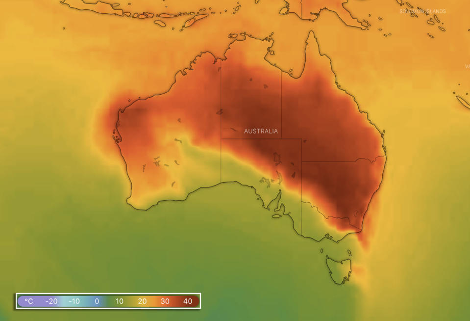 A map showing predicted temperatures across Australia at 4pm on Friday. Source: Windy