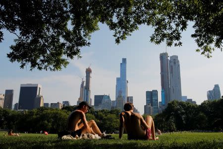 People sunbathe on a hot summer day in Central Park in Manhattan, New York, U.S., July 1, 2018. REUTERS/Eduardo Munoz
