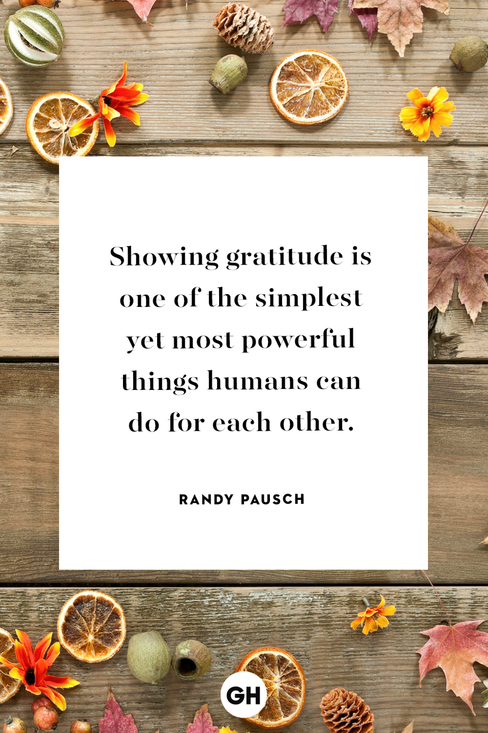 <p>Showing gratitude is one of the simplest yet most powerful things humans can do for each other.</p>