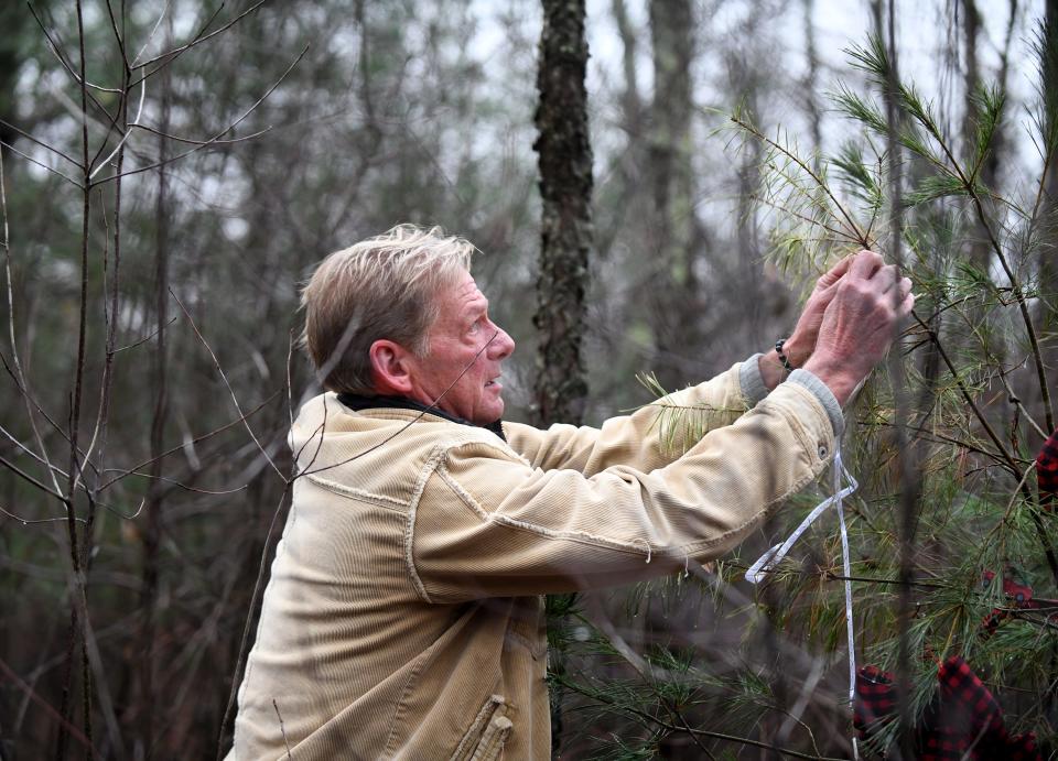 Michael Wozniak places an ornament on the R.Y.A.N. Tree at Quail Hollow Park in Lake Township. The tree honors the memory of his son Ryan Wozniak who died in 2014.