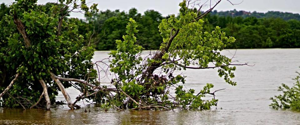 April 29 2017 Little Rock Arkansas River flooding caused by severe weather