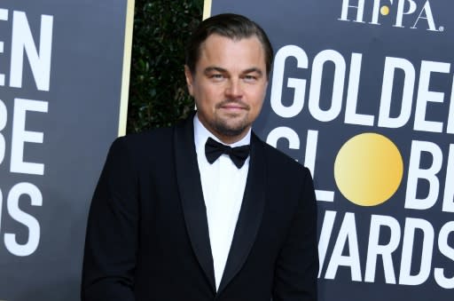 US actor Leonardo DiCaprio was one of the many stars in host Ricky Gervais' firing line