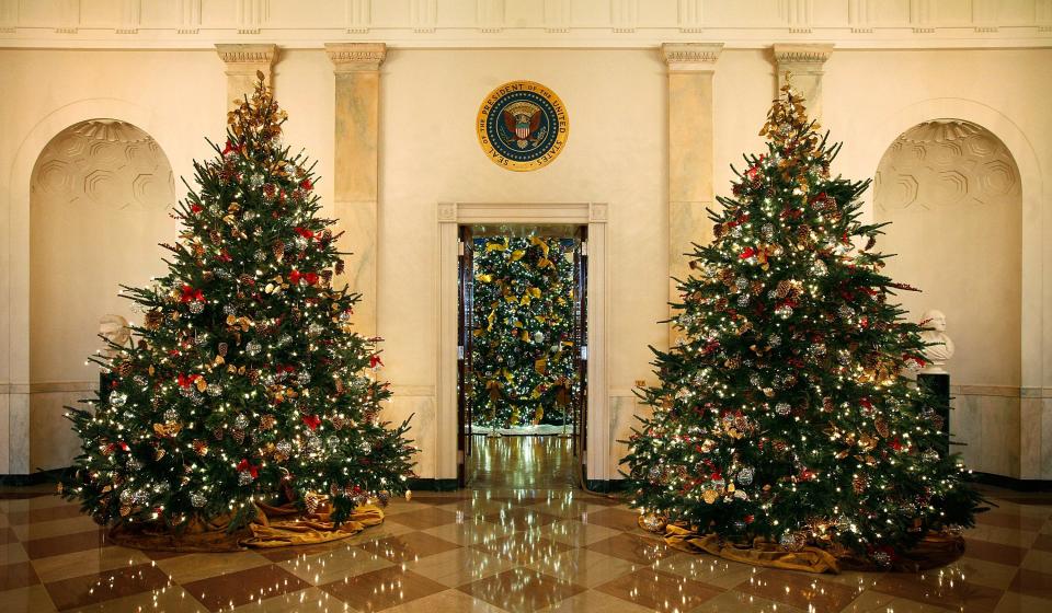 Christmas trees in the White House in 2009.