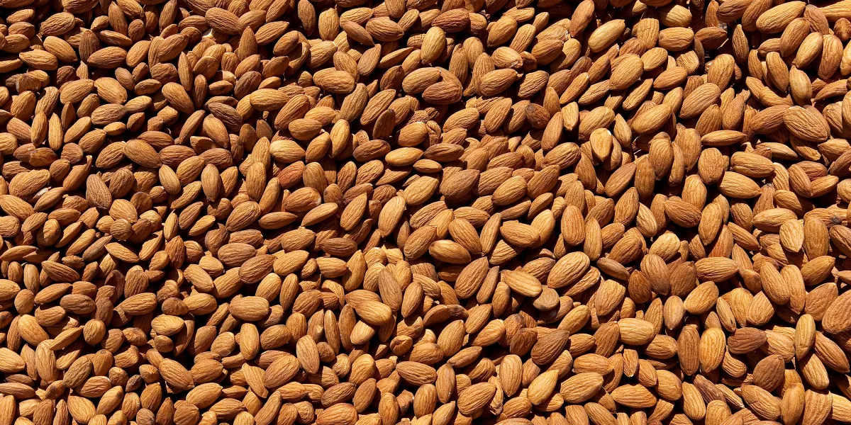 California Is Stuck With 1 Billion Pounds of Almonds