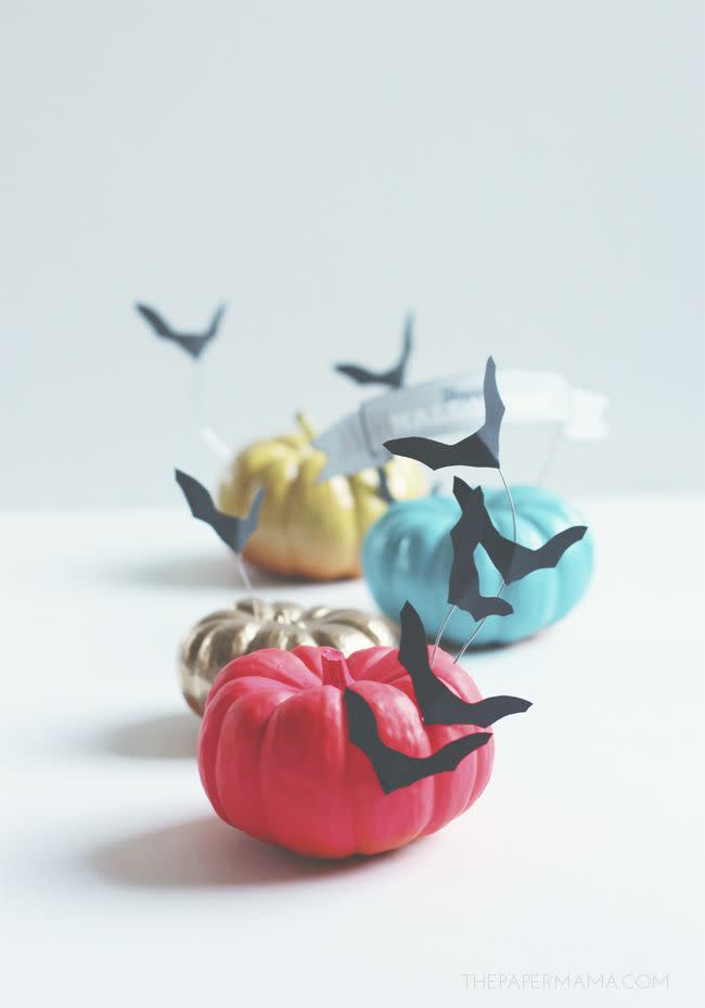 Colorful No Carve Mini Pumpkins