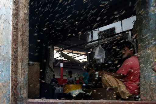 Illnesses are on the rise in Karachi because of flies and mosquitoes, according to a health activist