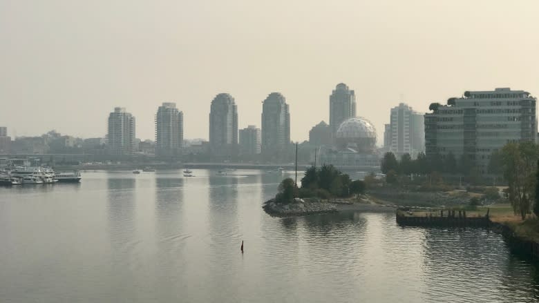 Smoky skies raise air quality concerns across B.C.