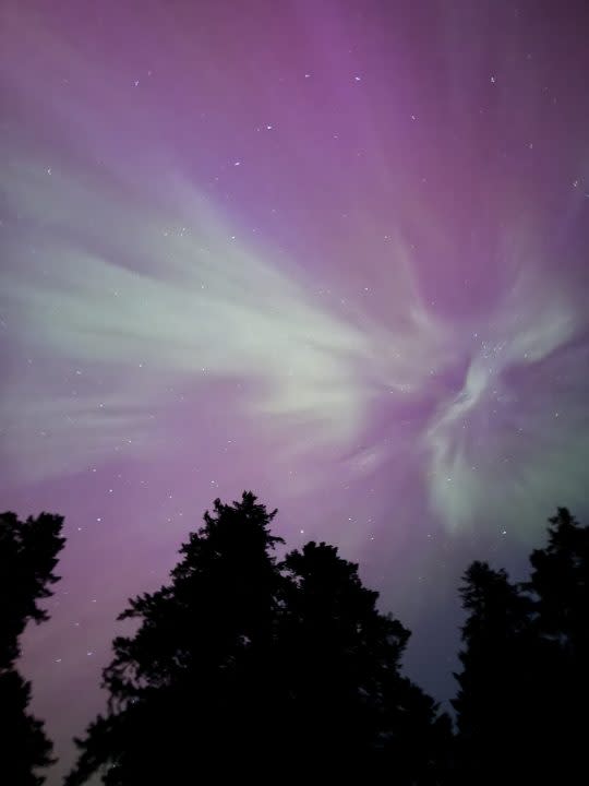 The Northern Lights from Battle Ground State Park in Washington on May 11, 2024. (Courtesy: Alyssa Chervenka)