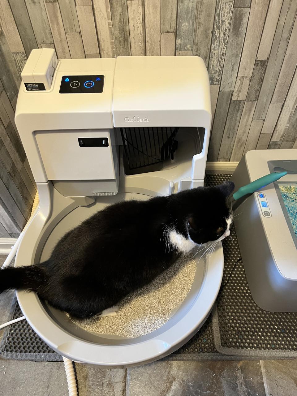 Cat-Genie-1 Best Robot Litter Boxes