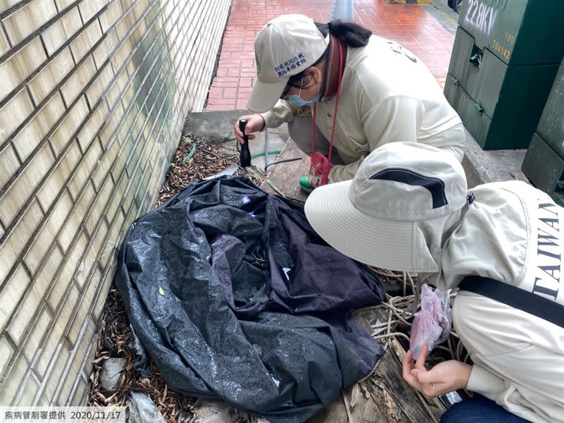 疾管署防疫人員於桃園市龜山區本土登革熱個案活動地進行孳生源查核。（圖／疾病管制署提供）