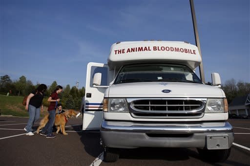 Ace, a 15-month-old golden retriever, is tempted into the University of Pennsylvania veterinary school's animal bloodmobile with his owners, Vicki Camuso, left, of Red Hill, Pa., and her daughter Mary Camuso, 13, in Harleysville, Pa. 