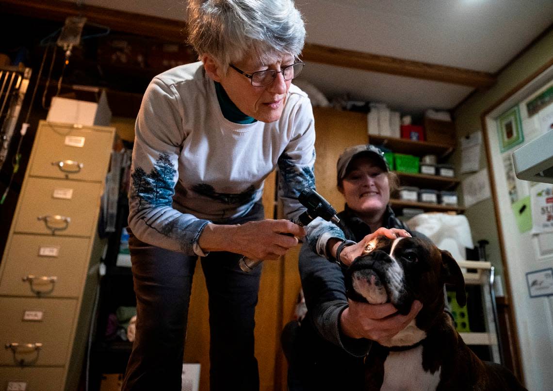 Veterinarian Shannon West checks her client’s dog, Lily Rose, for eye infections at her clinic in Graham on Jan. 19, 2023. West has operated out of a clinic attached to her home for years. After learning about the proposed airport sites she founded a group, Coalition Against Graham and Eatonville-Roy Airports, to rally the community to try and stop the airport from being built in Graham.