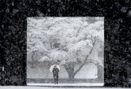 A man holding an umbrella makes his way in the heavy snow at the Imperial Palace in Tokyo, Japan January 22, 2018. REUTERS/Kim Kyung-Hoon