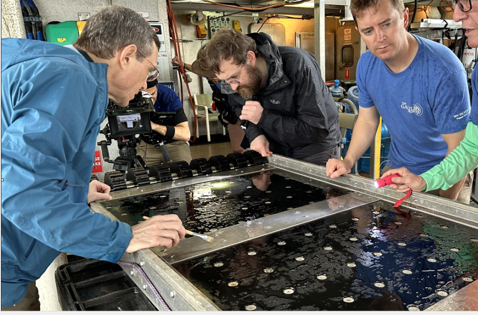 Avi Loeb, left, and his team inspect the magnetic sled harvest on a rainy night in June.